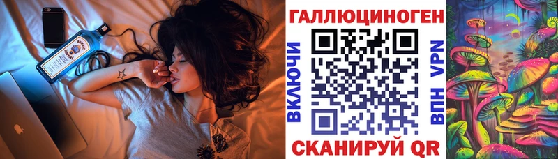 Галлюциногенные грибы Psilocybe  Купить где  Елец