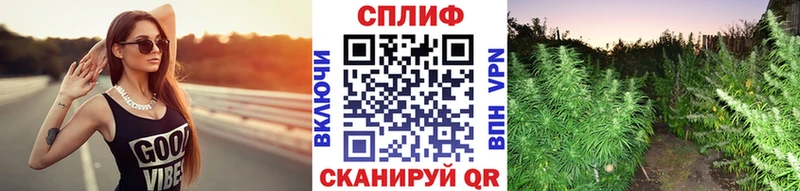 Купить где  Елец  Бошки Шишки VHQ 